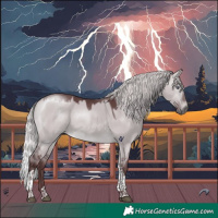 Horse Color:Chocolate Silver Brown Chinchilla Dun Tobiano 