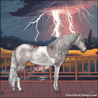 Horse Color:Chocolate Silver Brown Chinchilla Dun Tobiano 