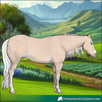 Horse Color:Silver Perlino