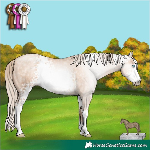 Horse Color:Gray White Spotted Gold Cream Champagne Pearl Sabino Appaloosa Rabicano 