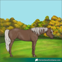 Horse Color:Silver Black 