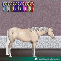 Horse Color:White Spotted Silver Sable Champagne Dun Sabino Splash Rabicano 