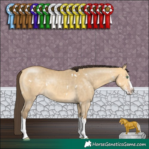 Horse Color:White Spotted Amber Cream Champagne Dun Splash Rabicano