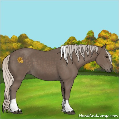 Horse Color:Silver Black Tobiano 