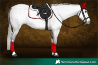Horse Color:Gray Bay Roan Splash Tobiano 