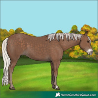Horse Color:Silver Black Frame 