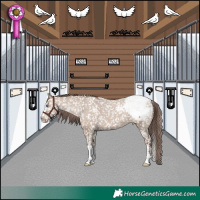 Horse Color:Classic Champagne Dun Splash Snowcap 