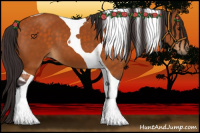 Horse Color:Buckskin Tobiano 