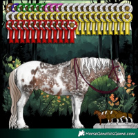 Horse Color:White Spotted Liver Chestnut Splash Tobiano Frame Appaloosa Rabicano 