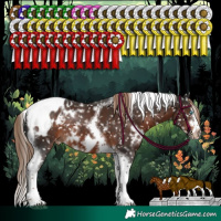 Horse Color:White Spotted Liver Chestnut Splash Tobiano Frame Blanket Rabicano 
