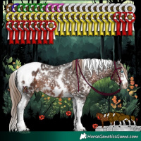 Horse Color:White Spotted Liver Chestnut Splash Tobiano Frame Appaloosa Rabicano