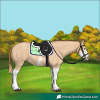 Horse Color:Red Dun Roan Splash Frame Rabicano 