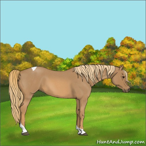 Horse Color:Red Roan Tobiano 