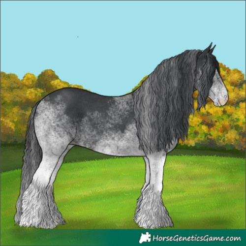 Horse Color:White Spotted Black 