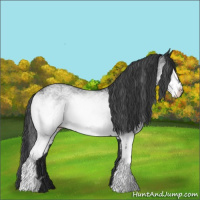 Horse Color:White Spotted Black 