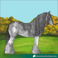 Horse Color:White Spotted Black 