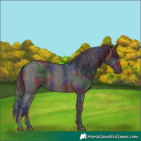 Horse Color:Nacre Brown 
