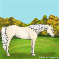 Horse Color:Silver Buckskin Pearl