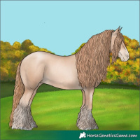 Horse Color:Gold Champagne Pearl Rabicano and Gold Champagne Pearl Splash Rabicano