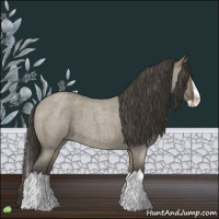 Horse Color:Smoky Grullo Roan Splash 