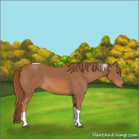Horse Color:Chestnut Tobiano 