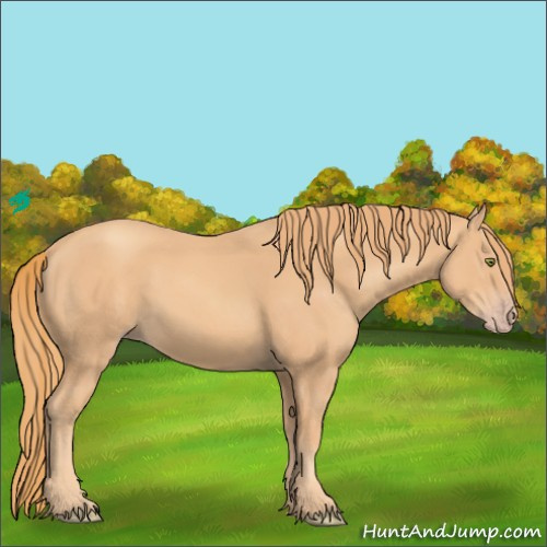 Horse Color:Gold Champagne 
