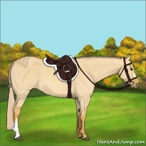Horse Color:Palomino Dun 