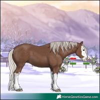 Horse Color:Silver Black Splash 