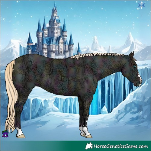 Horse Color:Midnight Buckskin Ice Pearl Dun 