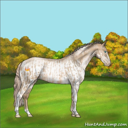 Horse Color:Chocolate Palomino Pearl Tobiano Frame and White Spotted Chocolate Palomino Pearl Frame