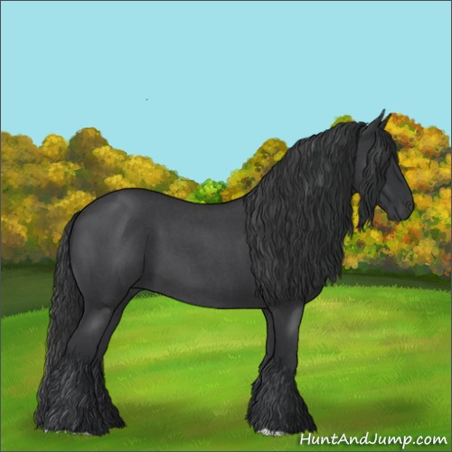 Horse Color:Blue Roan