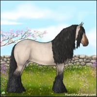 Horse Color:Bay Roan Dun 
