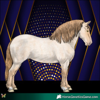 Horse Color:Gold Champagne Roan 
