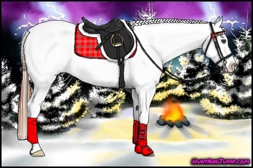 Horse Color:Bay Splash Frame Appaloosa