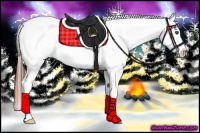 Horse Color:Bay Splash Frame Appaloosa 