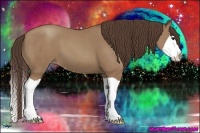 Horse Color:Classic Champagne Splash