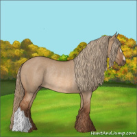 Horse Color:Red Dun Rabicano
