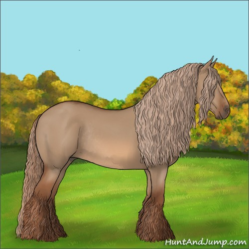 Horse Color:Red Dun Rabicano 
