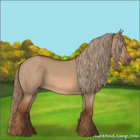 Horse Color:Red Dun Rabicano 