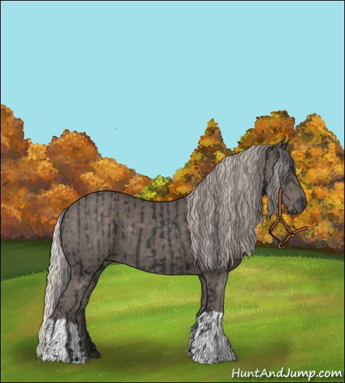 Horse Color:Black  and Silver Black 