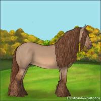 Horse Color:Red Dun Rabicano 