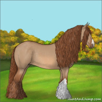 Horse Color:Red Dun Rabicano 