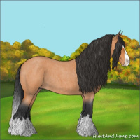 Horse Color:Bay Roan Splash 