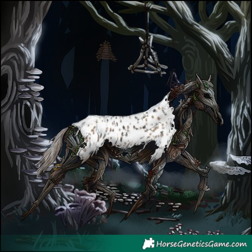 Horse Color:Black Appaloosa and Classic Champagne Appaloosa