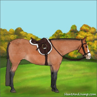 Horse Color:Bay Splash Appaloosa