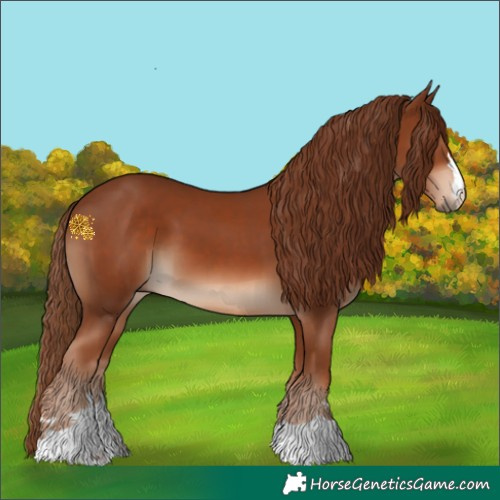 Horse Color:Chestnut  and Chestnut 