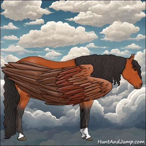 Horse Color:Bay  and Bay 