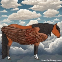 Horse Color:Bay and Bay