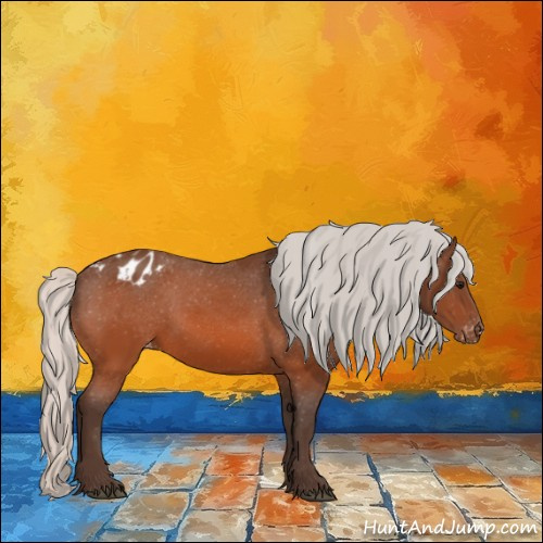 Horse Color:Silver Bay Appaloosa 