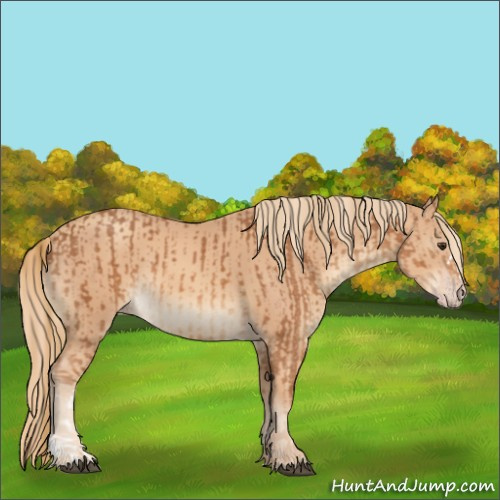 Horse Color:Chestnut and Gold Champagne